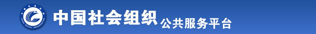 nvsebi全国社会组织信息查询